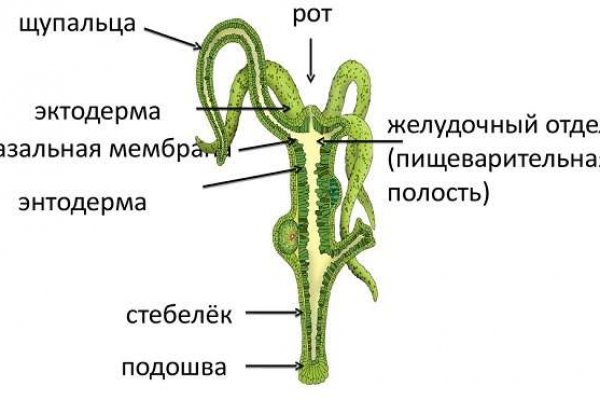 Кракен маркер даркнет